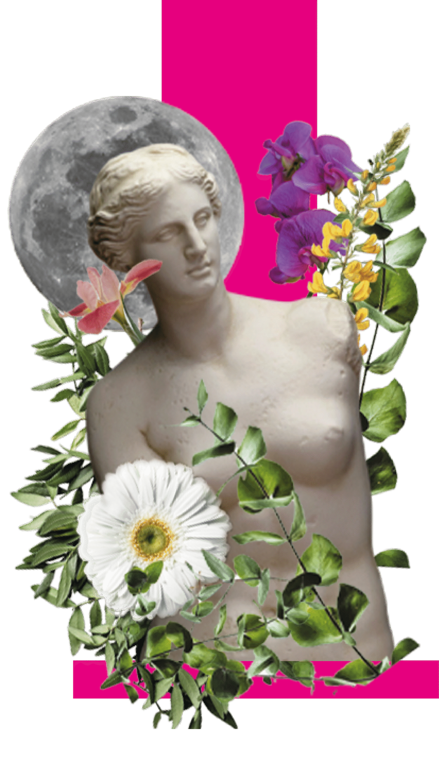 Immobile Presenza - Graphic Design