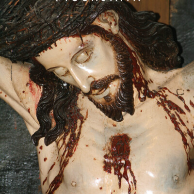 Il volto del Cristo Crocifisso di Frate Innocenzo da Petralia, scultura lignea secentesca custodita nella Chiesa Arcipretale di Santa Barbara in Taverna (CZ).