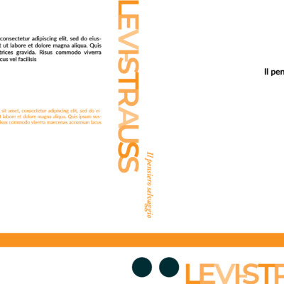 Il lettering del titolo e dell'autore si intreccia con il color arancione